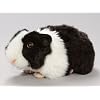 Meerschweinchen schwarz-wei� aus Pl�sch ca. 20cm.