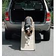 PetSTEP Folding Pet Ramp, Khaki