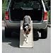 PetSTEP Folding Pet Ramp, Khaki