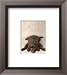 I'm Thrilled Animals Framed Art Poster Print by Rachael Hale, 13x14