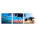 Sunrise St. Croix Gallery Wrapped Canvas Set of 3 - 12x12"