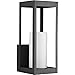 Progress Lighting P560040-031 Patewood Black One-Light Medium Wall Lantern