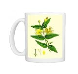 St Johnandamp;apos;s Wort Photo Mugs