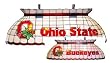 Ohio State Buckeyes Stained Glass Pool Table Light