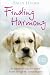 Finding Harmony: The remarkable dog that helped a family through the darkest of times