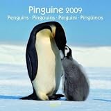 Produkt-Bild: Pinguine 2009. Brosch&uuml;renkalender.