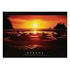 Dreams (Motivational) Photo Print Poster - 61x91 cm