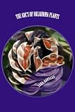 The ABC's of Oklahoma Plants: Edible, Medicinal, and Just Plain Fun Plants Right Outside Your Door (Volume 1)