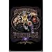 Minnesota Vikings Poster Print, 22x34