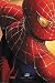 Spider-Man 2 - Giant Movie Poster: Advance (Size: 42'' x 62'') Image