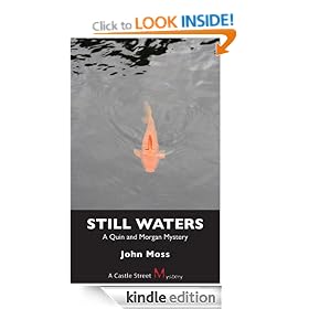 Still Waters: A Quin and Morgan Mystery