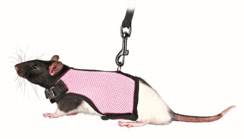 Harnais avec laisse pour rats, nylon, 12-18 cm, 1,20 m - harnais doux avec laisse totalement extensible Harnais avec laisse pour rats, nylon, 12-18 cm, 1,20 m - harnais doux avec laisse totalement extensible