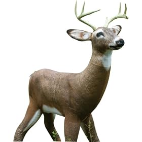 Click here to buy Tink's Mr. October Buck Decoy.
