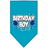 Mirage Pet Products Birthday Boy Screen Print Bandana for Pets, Large, Turquoise