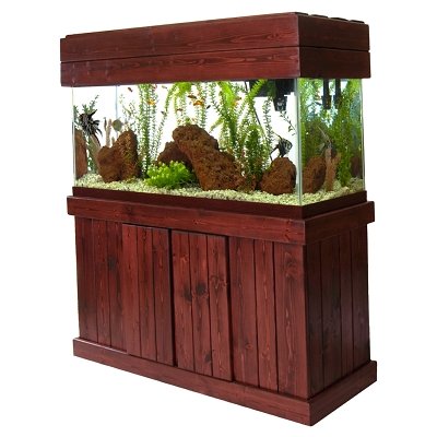 PINE MAJESTY STAND Oak 30