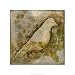 Existentialism I by Jennifer Goldberger. ART GICLEE Canvas Rolled.. 22.00 inches width by 22.00 inches height. Highest Quality Art Poster Print