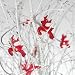 Fairy Lights - Red Reindeer Lights
