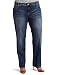 KUT from the Kloth Women's Plus-Size Catherine Boyfriend Roll-Up Jean, Experience, 16W