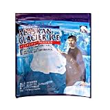 アラスカ氷河の氷-ロックグラスセット 北極-Alaskan Glacier Ice300g2袋