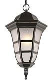 Cape Cod 1 light Hanging Outdoor Lantern, LARGE, WEATHERED BRNZE...