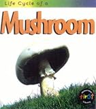 Life cycle of a mushroom