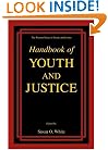 Handbook of Youth and Justice (The Plenum Series in Crime and Justice)