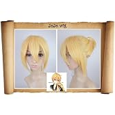 コスプレ ウィッグ 鏡音レン VOCALOID ボーカロイド 耐熱 コスプレウィッグ T24