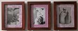 Plumeria Picture Frames - Set of 3
