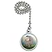 GRAPHICS & MORE Hippopotamus Goes Roar Ceiling Fan and Light Pull Chain