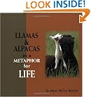Llamas and Alpacas as a Metaphor for Life