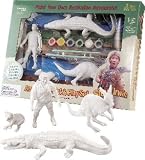 Steve Irwin Australian Paint and Play Set