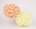 HEARTFEEL 6pcs 10 inch Tissue Paper Pom-poms Cream Mint Peach Outdoor Decoration Tissue Paper Pom Poms Party Balls Wedding Christmas Xmas Decoration