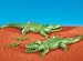 2 Large Alligators with 2 Small Alligators