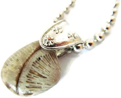 Bold and Beautiful Fossil Fashion 18 In Big Ball Chain and Silver Tone Bail Necklace