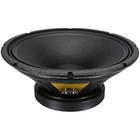 speaker dts 15 inch
