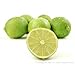 SPF 15 Lip Balm by Florida Glow - Hydrating and Moisturizing Lip Sunscreen for Men and Women and Kids - Oxybenzone Free SPF Lip balm with Sunscreen - Travel size Lipbalm Sunblock (Key Lime)