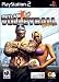 Video Games : Outlaw Volleyball Remixed