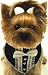 Dog Tuxedo Scarf for Weddings and Formal Events - Large