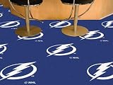 Fan Mats 10689 NHL - Tampa Bay Lightning 18" x 18" Team Carpet Tiles (10 Logo, 10 Solid per Box - appx 45 sq ft)
