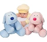 Knowing God: Walking through the Book of Books