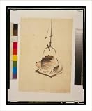 Historic Print (S): [Badger tea-kettle]