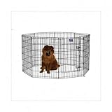Pet Exercise Pen with Walk Thru Door (42 in. L x 24 in. W)