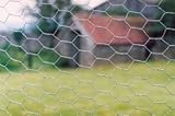 Outdoor Living : GALVANISED WIRE NETTING , 0.6M, 50MM
