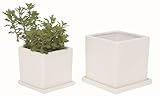 インテリアポット スクェアーS ホワイト