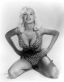 Jayne Jane Mansfield Poster Bikini Swimsuit Pinup Girl Art Pinups 16x20