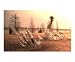 Awaken Scupture Sunset, Hains Point Places Photographic Poster Print by William Luo, 10x8