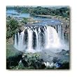 Ceramic Coaster Set - 4 pcs - Designer Coasters: Nature/Scene/ Scenery - (CCNA-279)