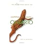 The ROM Field Guide to Amphibians and Reptiles of &hellip by Ross MacCulloch