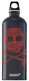 Sigg Lifestyle Loop Top Water Bottle (1.0-Liters)