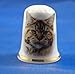 Porcelain China Thimble -- Maine Coon cat